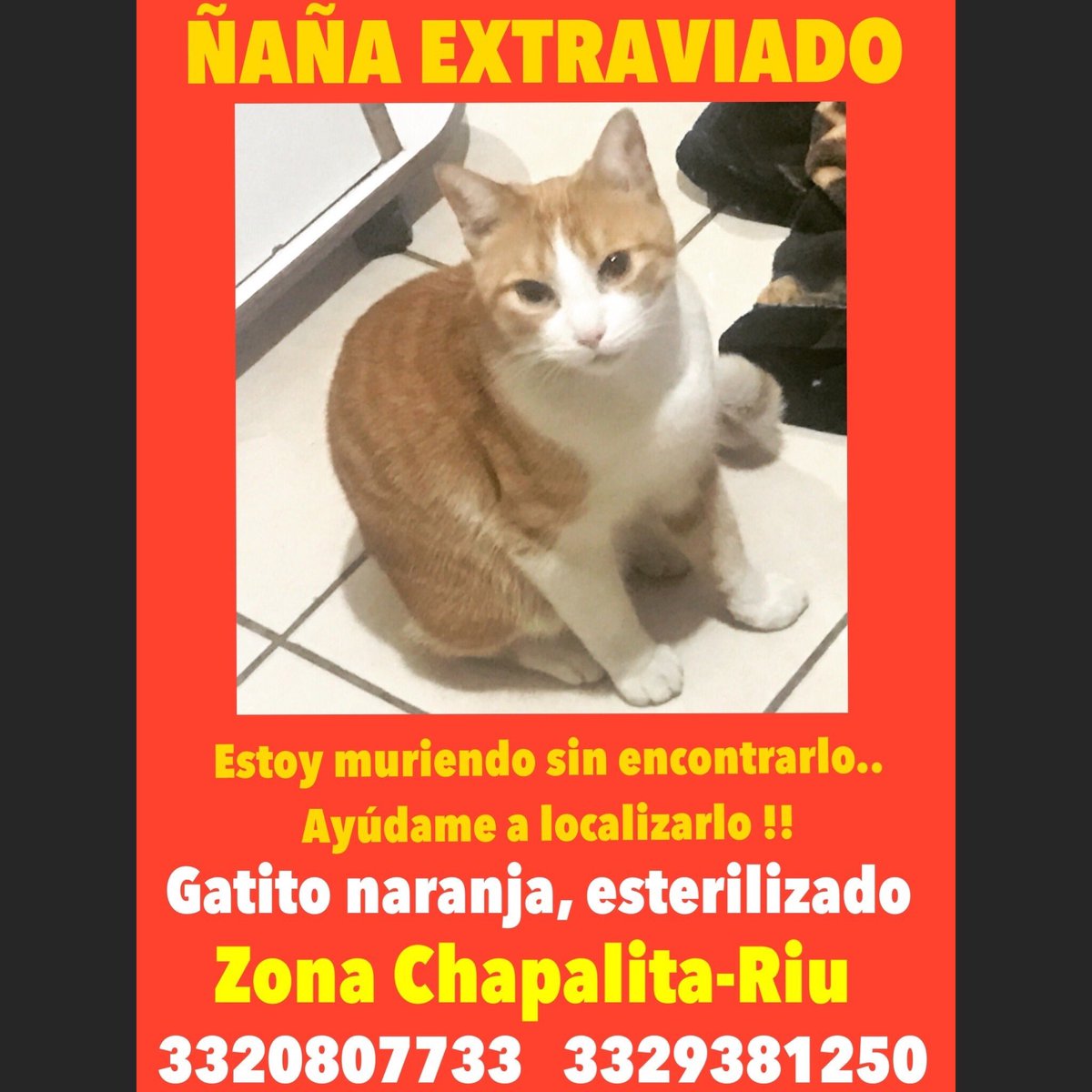 clausgarciach tweet picture