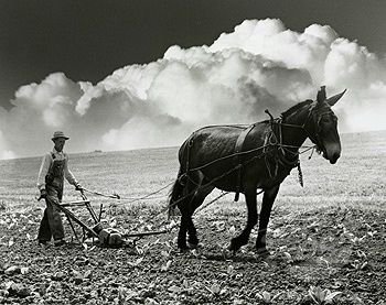 Otro 17 de abril, otro Día Internacional de la #LuchaCampesina para poner a los que han producido, producen y producirán nuestra comida en el centro...