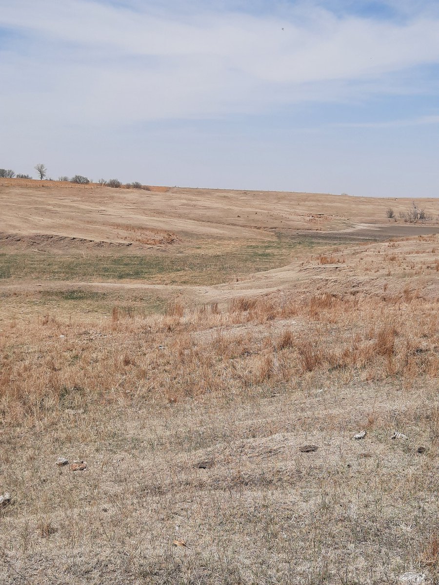 Michael72540562's tweet photo. Pasture hasn't been grazed since last July.....looks like August around here.....brown grass and no water in pond.....ready for the rains to set in!! https://t.co/GKrAyXyzoq