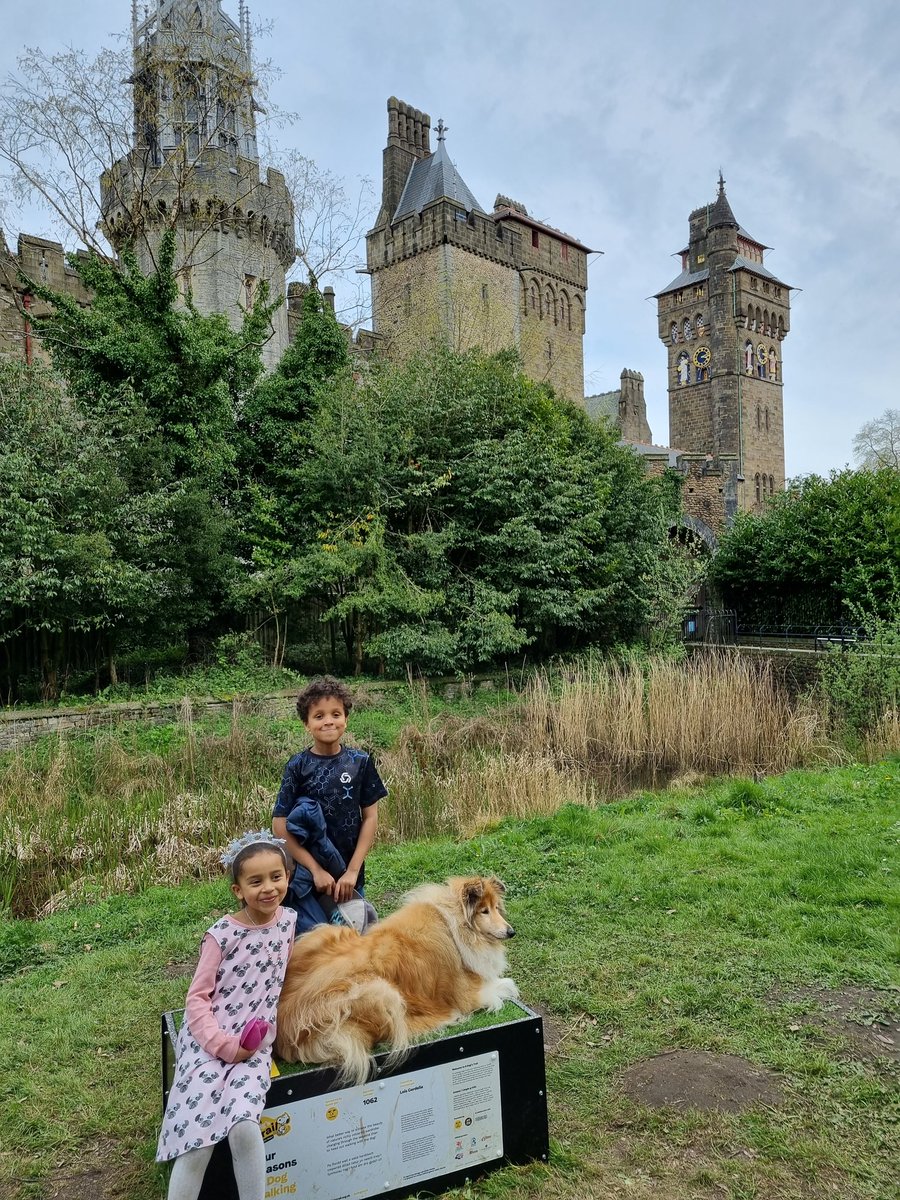 MissW009's tweet photo. A missing #Snoopy from @DogsTrust #DogsTrail temporarily replaced with a #RoughCollie @cardiff_castle
🐕🗺🔍🔎 https://t.co/XA5M0tcKR9