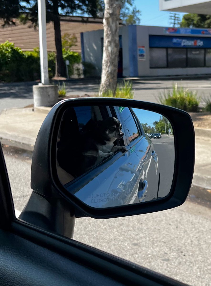 HeyItsDuke's tweet photo. Making my way downtown, driving fast, faces pass, and I’m homebound https://t.co/UP4vZbdojP