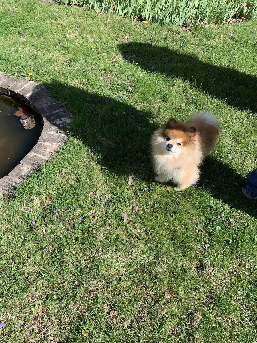 FierceOkatu's tweet photo. Enjoying the sunshine and garden today. https://t.co/eIdGajWnSh