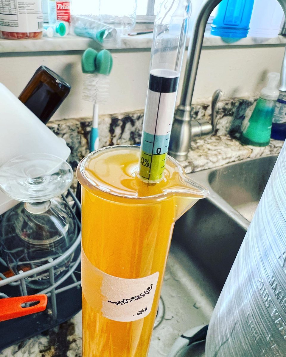 realoeschole's tweet photo. Oeschole Brewing Klootzak Belgian IPA is officially in the keg and will condition for another two weeks before hitting the tap. This cranks in at 8.5% and has a delightful old world taste to it. My first batch to go into a keg. #homebrew #beer #keg #brewery #brew #ipa #belgian https://t.co/wITDCNXrA2