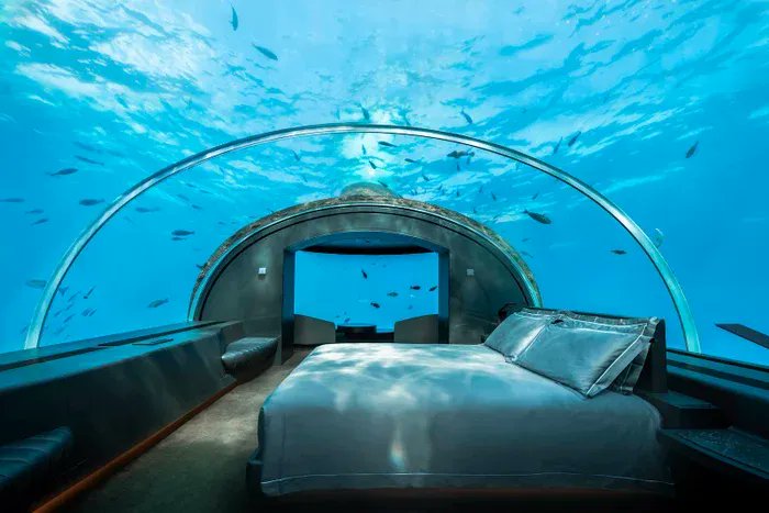 Trip30's tweet photo. 4 resorts with underwater hotel rooms and restaurants https://t.co/yypIFLQkBM via @thepointsguy https://t.co/mqk3mP3DTS