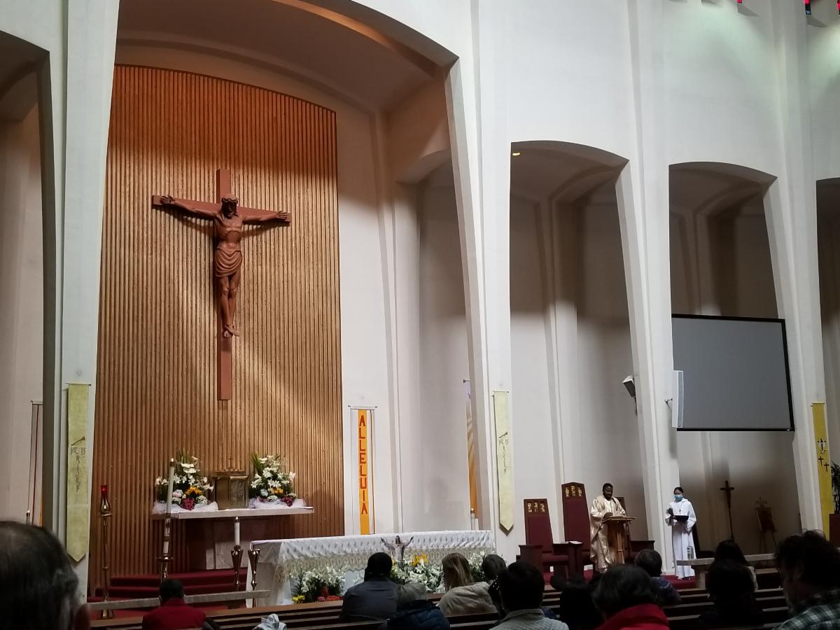 holynamesf's tweet photo. Happy Easter from Holy Name School!

We’re invited into this Easter story. We’re invited to discover what lies within the open tomb, what goodness God has placed within us and how it might guide us. And in so doing, we learn not only who we are but also how we might make a meani https://t.co/uDhHsczDc5