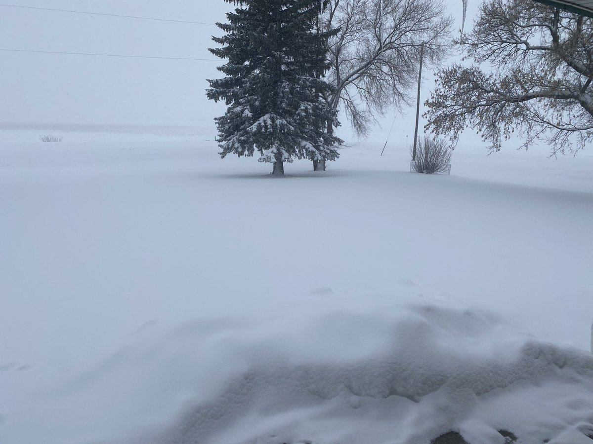 WallyOrr's tweet photo. FFS! I sowed my first field last year on April 9! https://t.co/kncngfMOoo