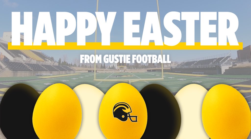 Gustavus Football tweet media