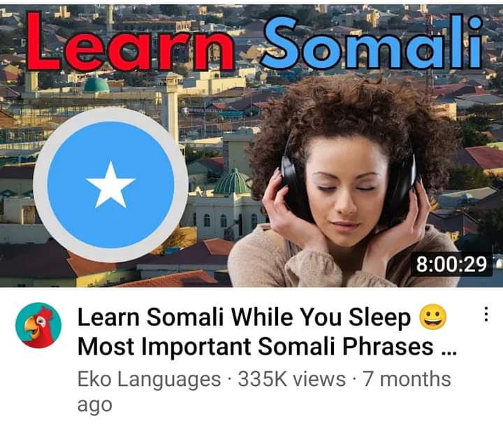 NoContextSomali's tweet image. 