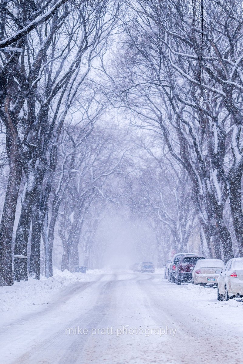 Michael Pratt tweet media