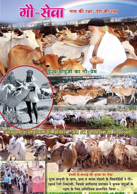 गौरक्षक संत पूज्य Sant Shri Asharamji Bapu कहते हैं
"गाय हमें पालती हैं ना कि हम गायों को पालते हैं" ।
पूज्य बापूजी ने हजारों गायों को कत्लखाने जाने से बचाकर स्व-निर्भर गौशालाओं की शुरुआत की, जो बिना किसी बाहरी दान के चलायी जाती हैं।
#गौसेवा_परम_हितकारी