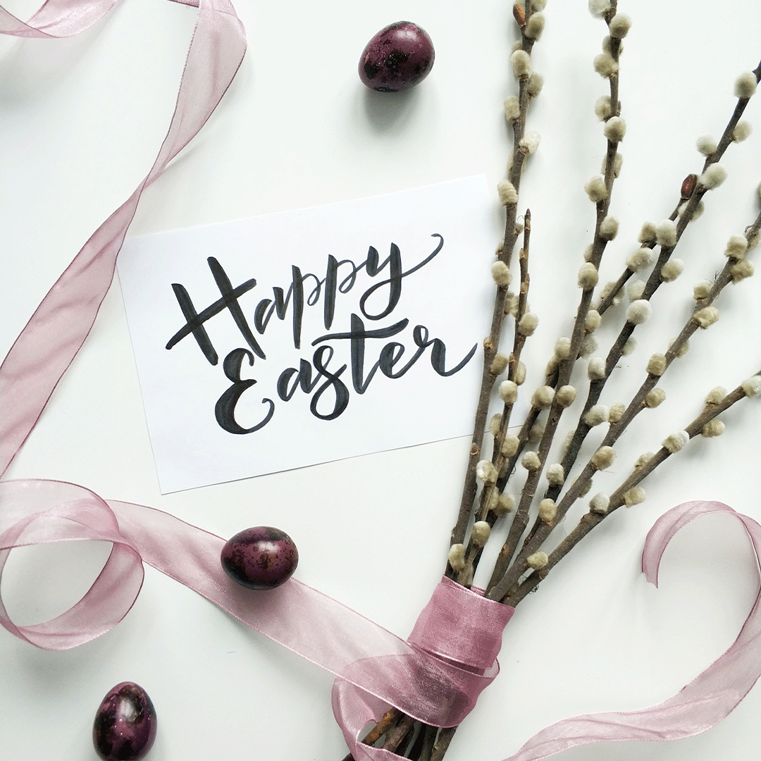 Happy Easter from the Reunited States!

Photo by Alena Koval: pexels.com/photo/white-pe…