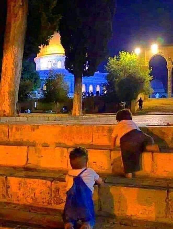 عـ❣️ـائدون✌️⁩ tweet media