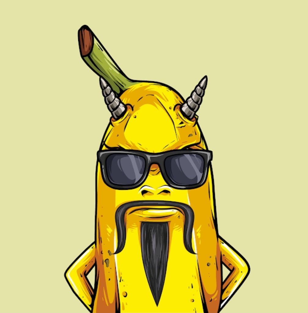 tturcott's tweet photo. @MadBananaUnion What? Huh? Mad Bananas back? https://t.co/Jrl15tdT9o