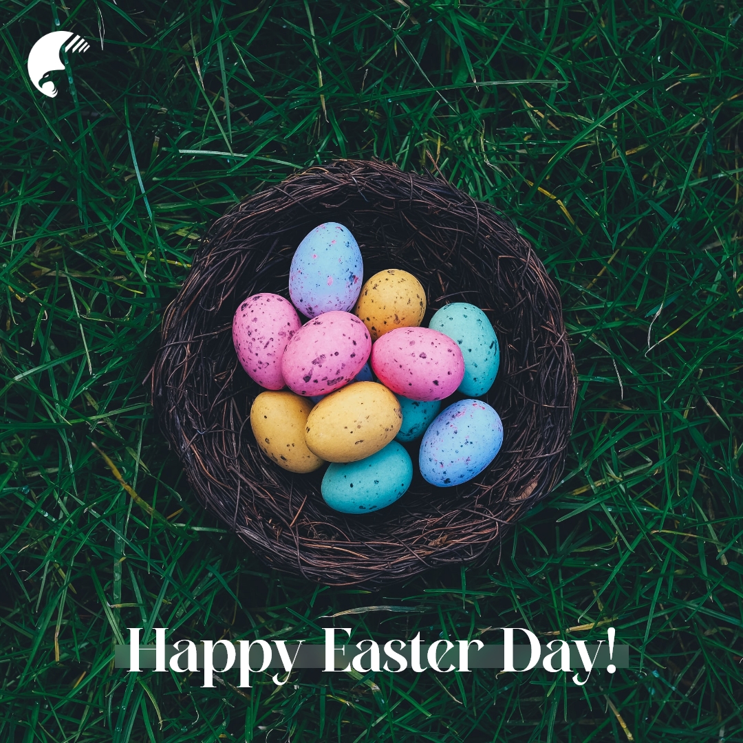 touroogle's tweet photo. Lilies, colored eggs, and chocolate bunnies promise Easter. The spirit of Easter is all about hope, love, and joyful living.
Happy Easter Day!
May you have a blessed day!😍
#Touroogle #TouroogleIt
#HappyEasterDay #EasterHoliday #EasterDay #EasterEggs #Easter2022 #HappyEaster https://t.co/OAHPVdNXFl