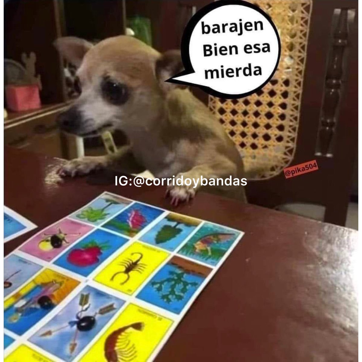 corridosybandas's tweet photo. Cuando vas perdiendo 10 veces seguidas https://t.co/UcVN4ZopxA