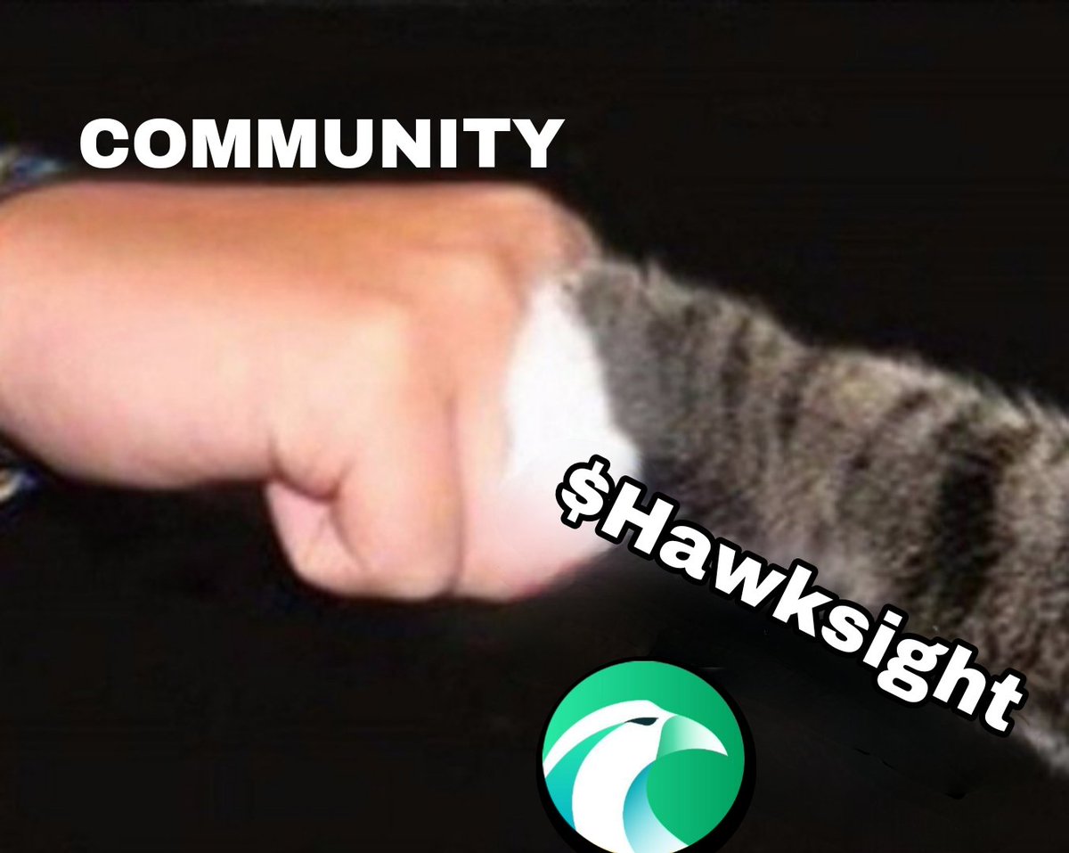 Quincyxyz's tweet photo. my entry 🙏 , hope you like it 😂
 @HawksightCo

Tag
@khiekhuy
@cepay
@King774902820

#HawksightMemeContest #HAWK 
#Hawksight https://t.co/eFfcmze1EH