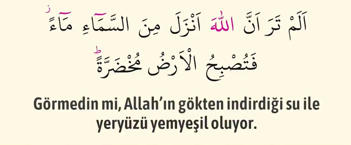 MuhammedAliAkts's tweet photo. https://t.co/rWqkv9lqXJ