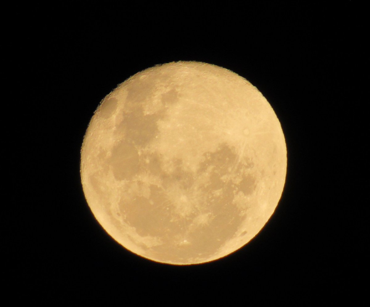 willbodenmuller's tweet photo. Lua hoje em Belo Horizonte/MG. @SpaceToday1 @Astronomiaum https://t.co/ItA4qSYESX