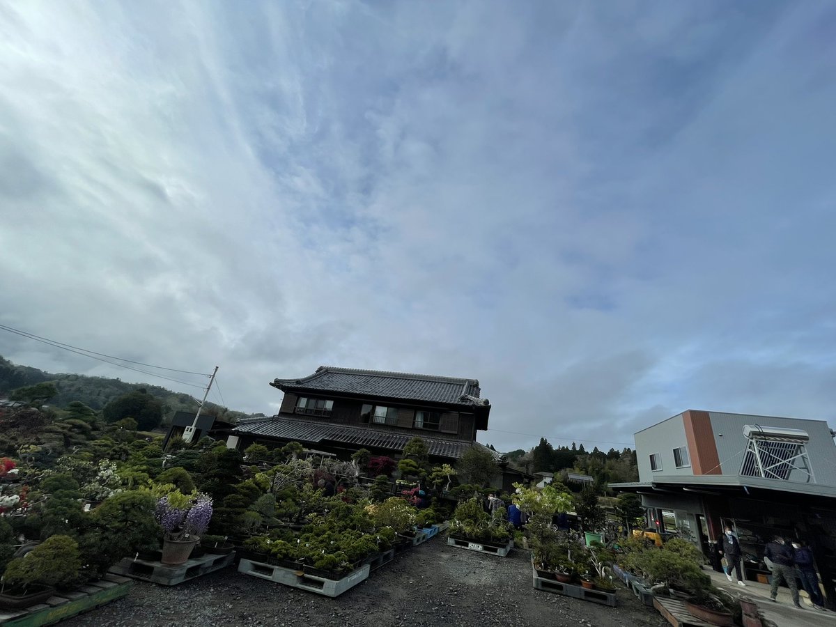 gakbonsai1's tweet photo. オークション https://t.co/LIhlJWtNVD