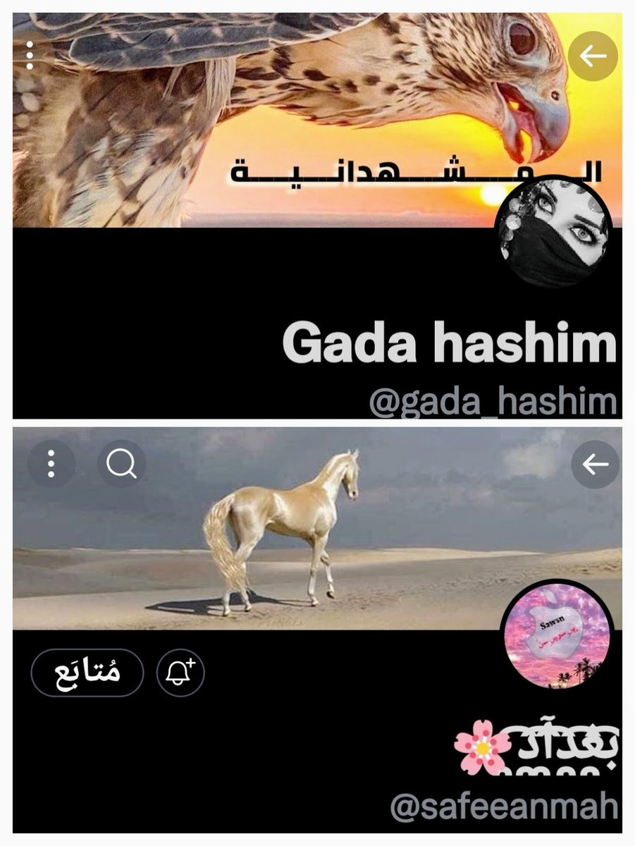 @safeeanmah 
هل تعلم عزيزي القارى ان سوسن تافهه 
هل تعلم عزيزي القارى ان سوسن وعاده يمارسن الفاحشه. 
هل تعلم عزيزي القارى ان النساء تحيض من ؟ الا سوسن وعاده تحيض من فمهما