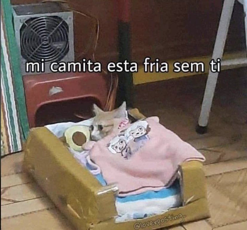 reinatos's tweet photo. mood de hoje https://t.co/xdplLC48lm
