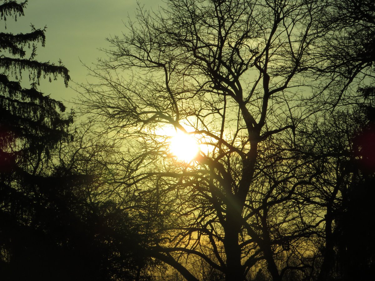 PLKlein_Author's tweet photo. "What is right is not always popular, and what is popular is not always right." ~ #AlbertEinstein #QuickQuotes #ThinkBIGSundayWithMarsha #SundayMotivation #ThinkingOutLoud #SundayThoughts #WhatIsRight #Popular https://t.co/bUN3ffzcds