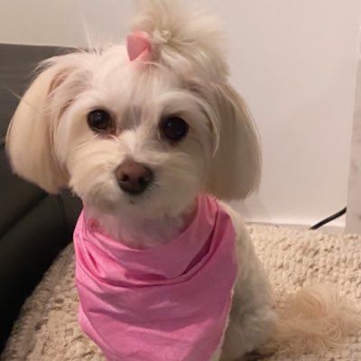 jusPAGEme's tweet photo. #NewProfilePic https://t.co/3cQwQmclJF
