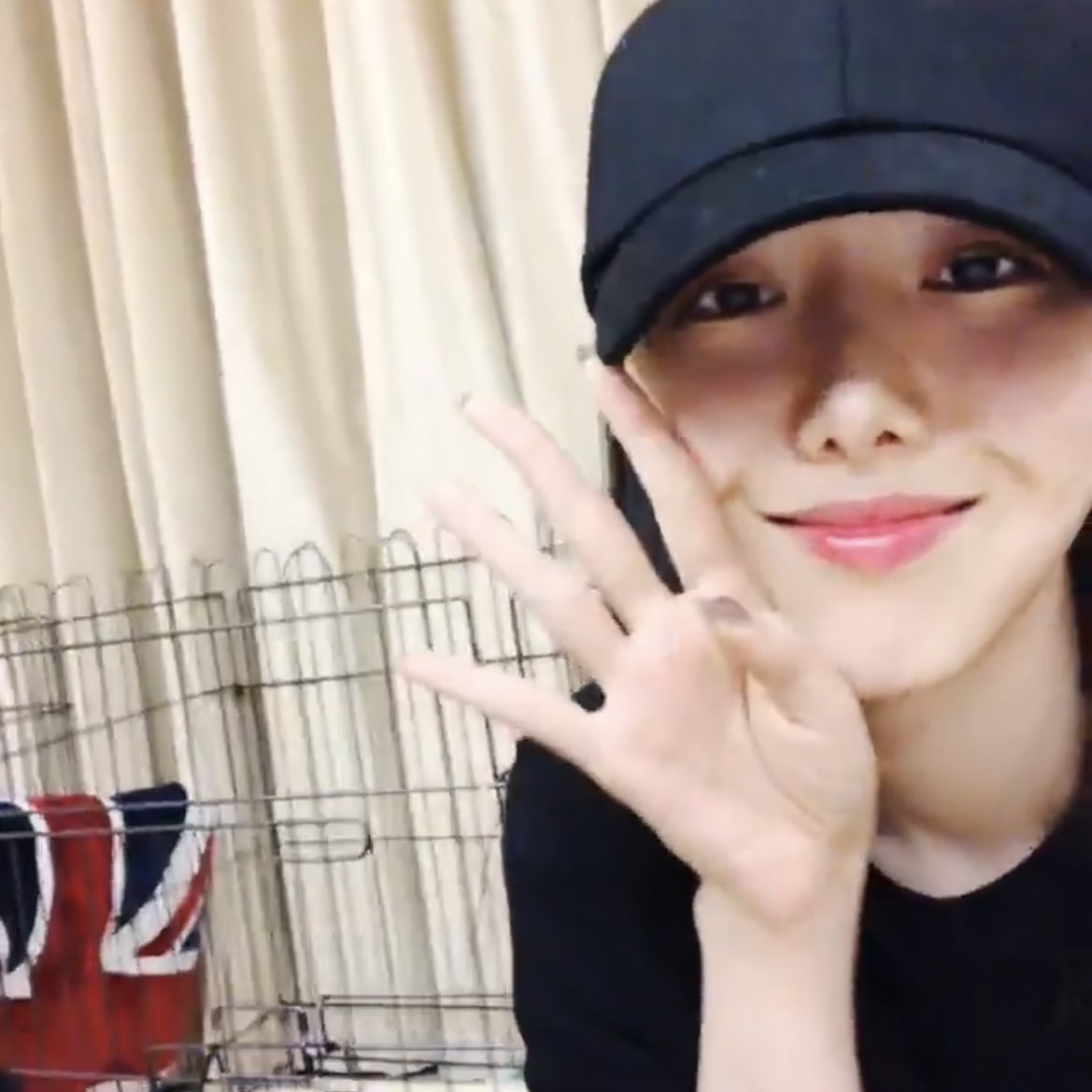 EG1RLSINB's tweet photo. 🐱🐶🦊❤️ https://t.co/O2gc6HKewv