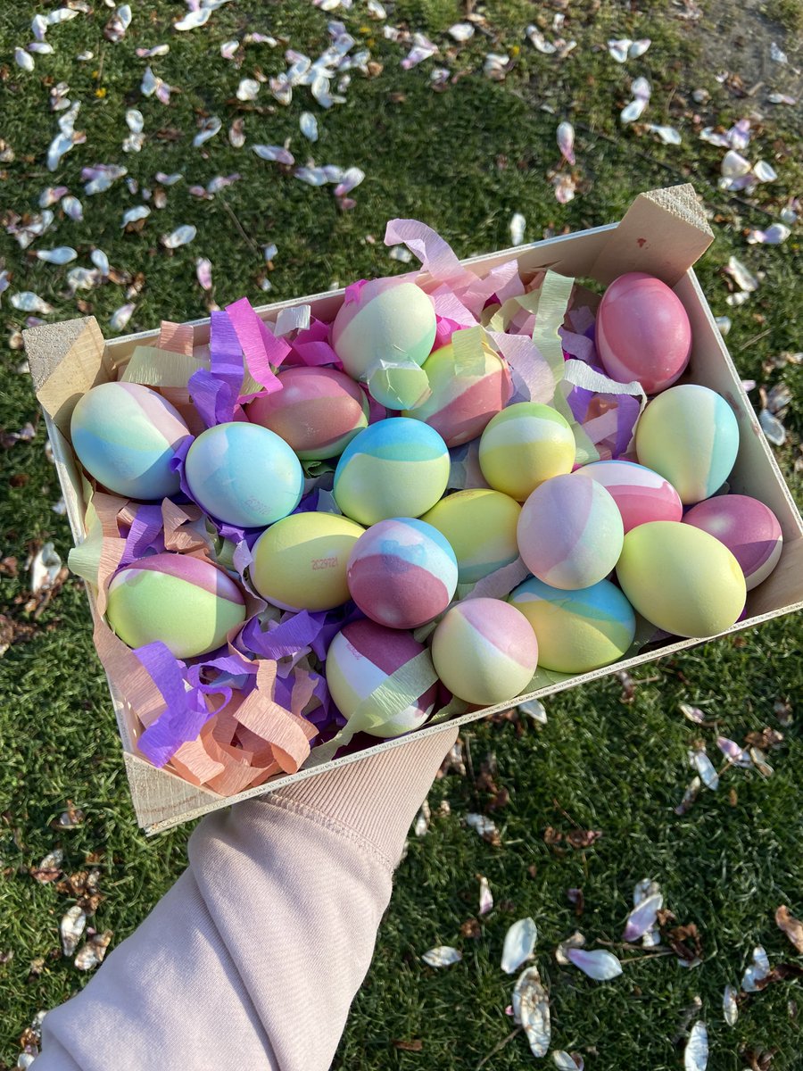 indidice's tweet photo. Easter picnic w the @BeyondBordersBp https://t.co/sTTrOWYkAE
