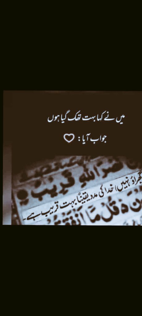Shagufta Ali tweet media