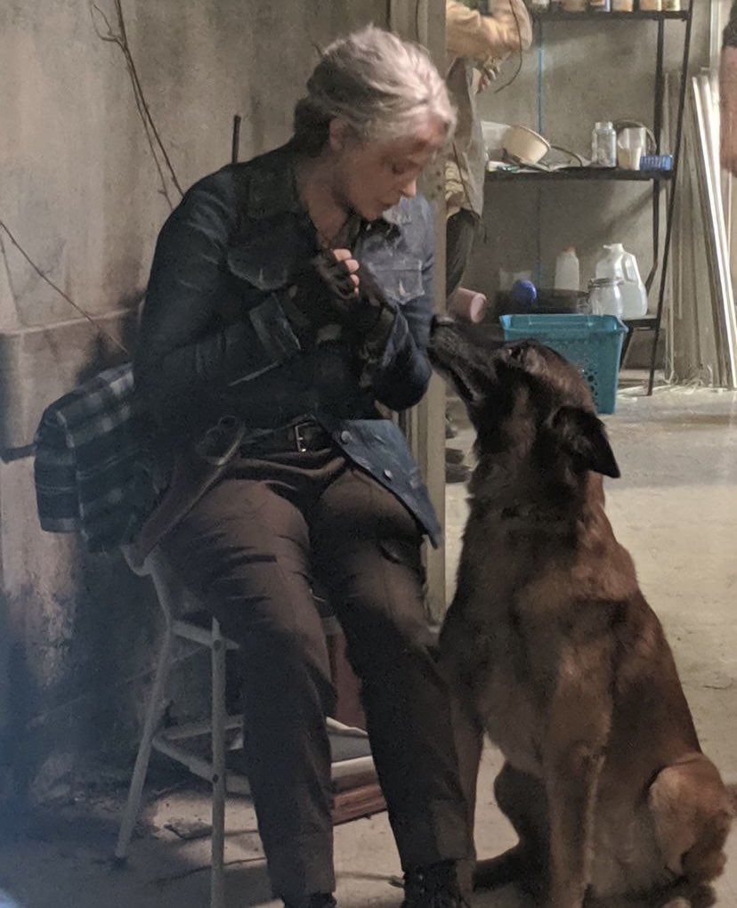 CarolSimps_AMC's tweet photo. Today’s character simp of the week goes to the actor that plays Gabriel! Thank you Seth Gilliam for always providing us with the most amazing mel/carol photos! Between simping on insta and simping on set, we are proud to have Seth as part of the #carolsimpsquad
#simpsundays 🌸 https://t.co/cZsDJVFltg