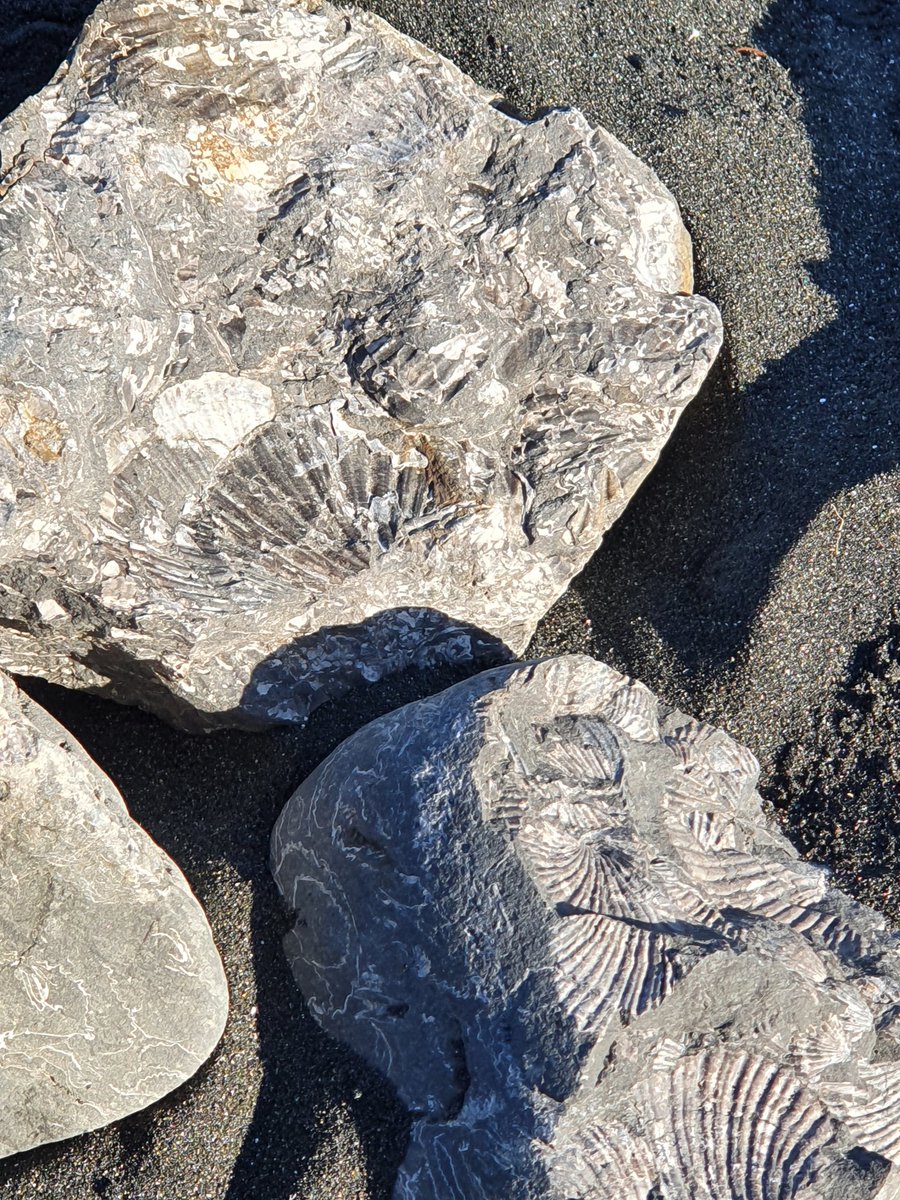 CockerKate's tweet image. Had an epic Easter weekend. Some crazy geology and beautiful sunsets, name a better combo! #fossils #caves #geology #EasterHolidays