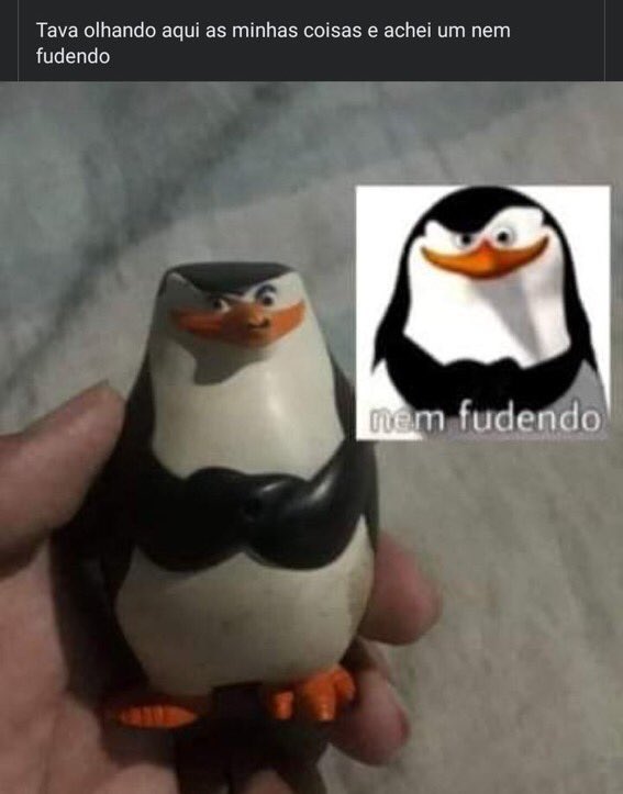 Mais Coisas engraçadas no meu canal do  Penguim_Boladao