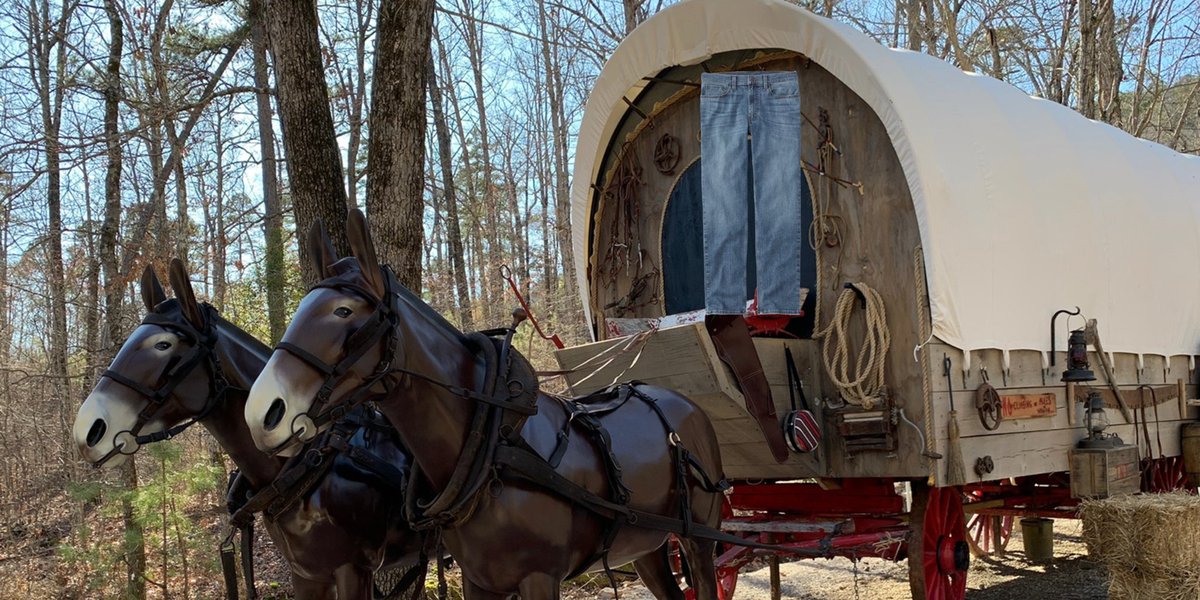 DangerRev's tweet image. Women will criticize me for watching Godzilla V Kong but this they favorite movie