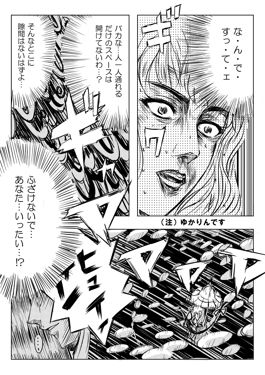 イニシャルDっぽい紫と霊夢。 