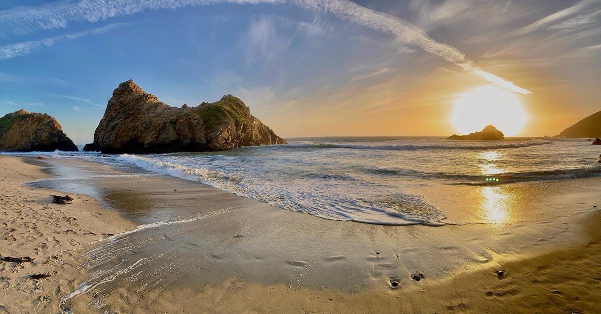 Colleen Gauthier tweet media