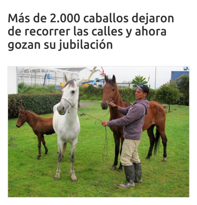 Denuncian maltrato animal en medio de campaña política de Federico  Gutiérrez | Agenciapi.co