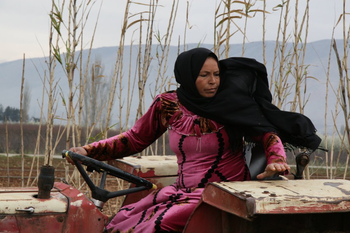 Syria Film Festival tweet media