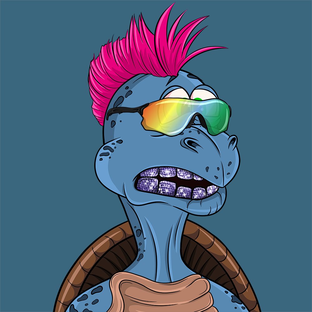 Timeless Turtles Club tweet media