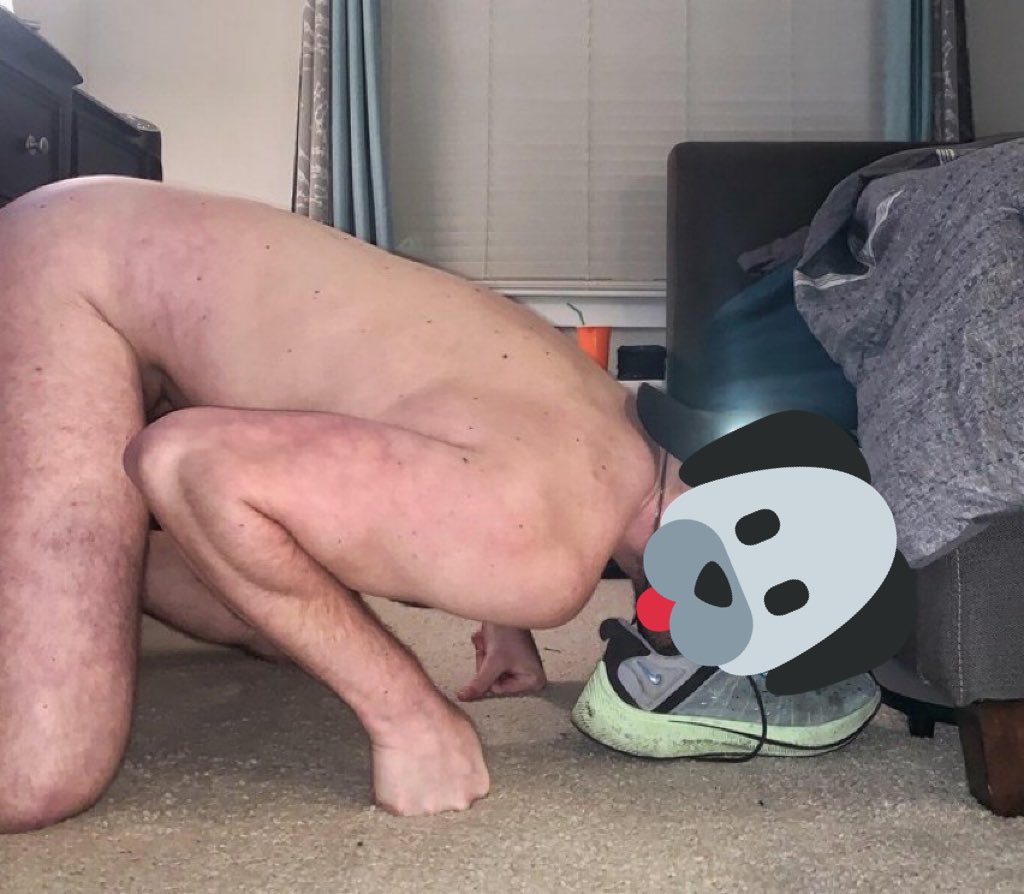 PuppyHumiliated's tweet photo. Puppy found a new shoe to play with! 🐶 #humiliated #humiliateme #humiliatedfag #exposed #exposedfaggots #exposedfags #exposedfag #exposeme https://t.co/TjdMxMHfBw