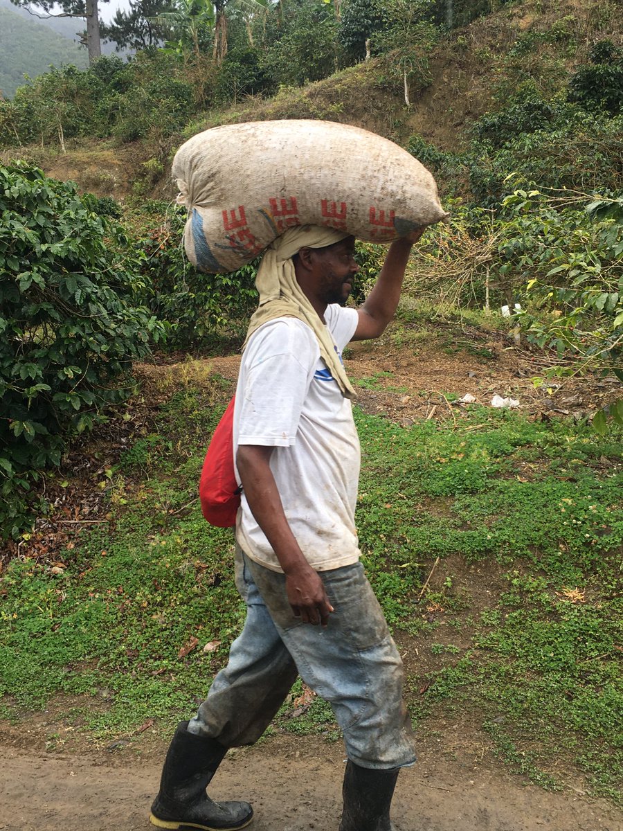 celltdcom's tweet photo. Coffee on the move https://t.co/2gLCOMcH2e