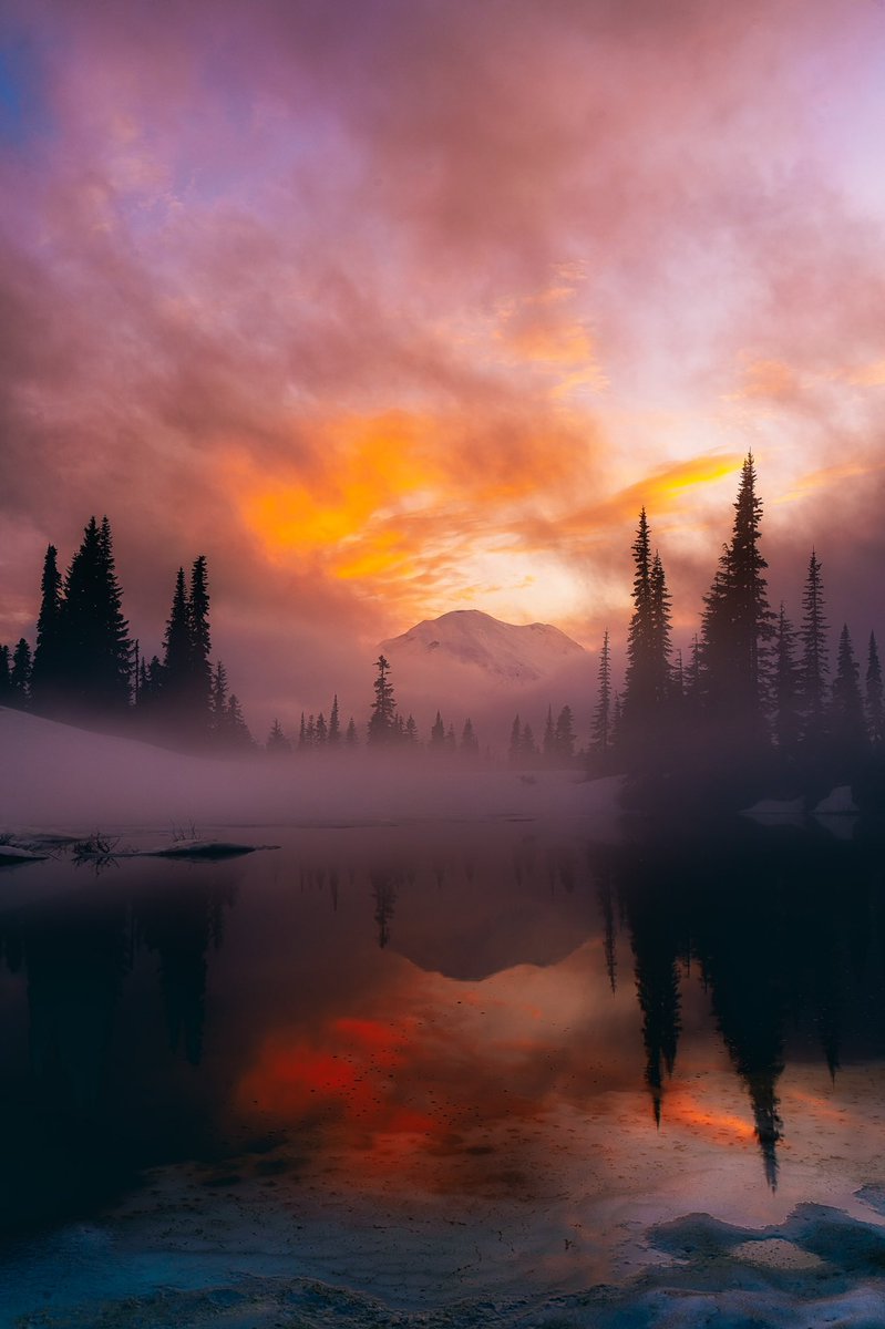 Wolf Mercury Photography tweet media