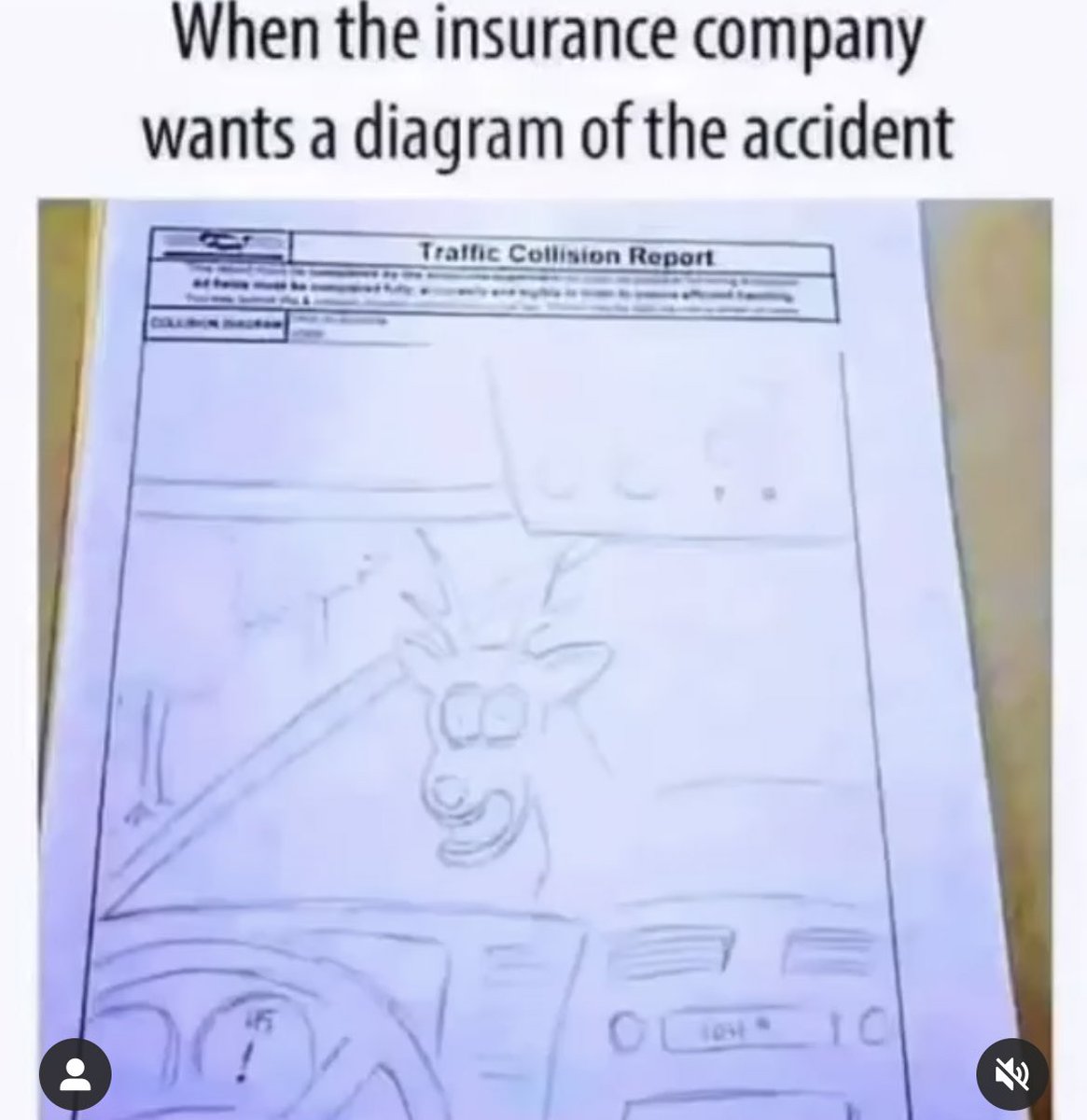 Why does stuff like this make me fall out of my chair laughing 😂