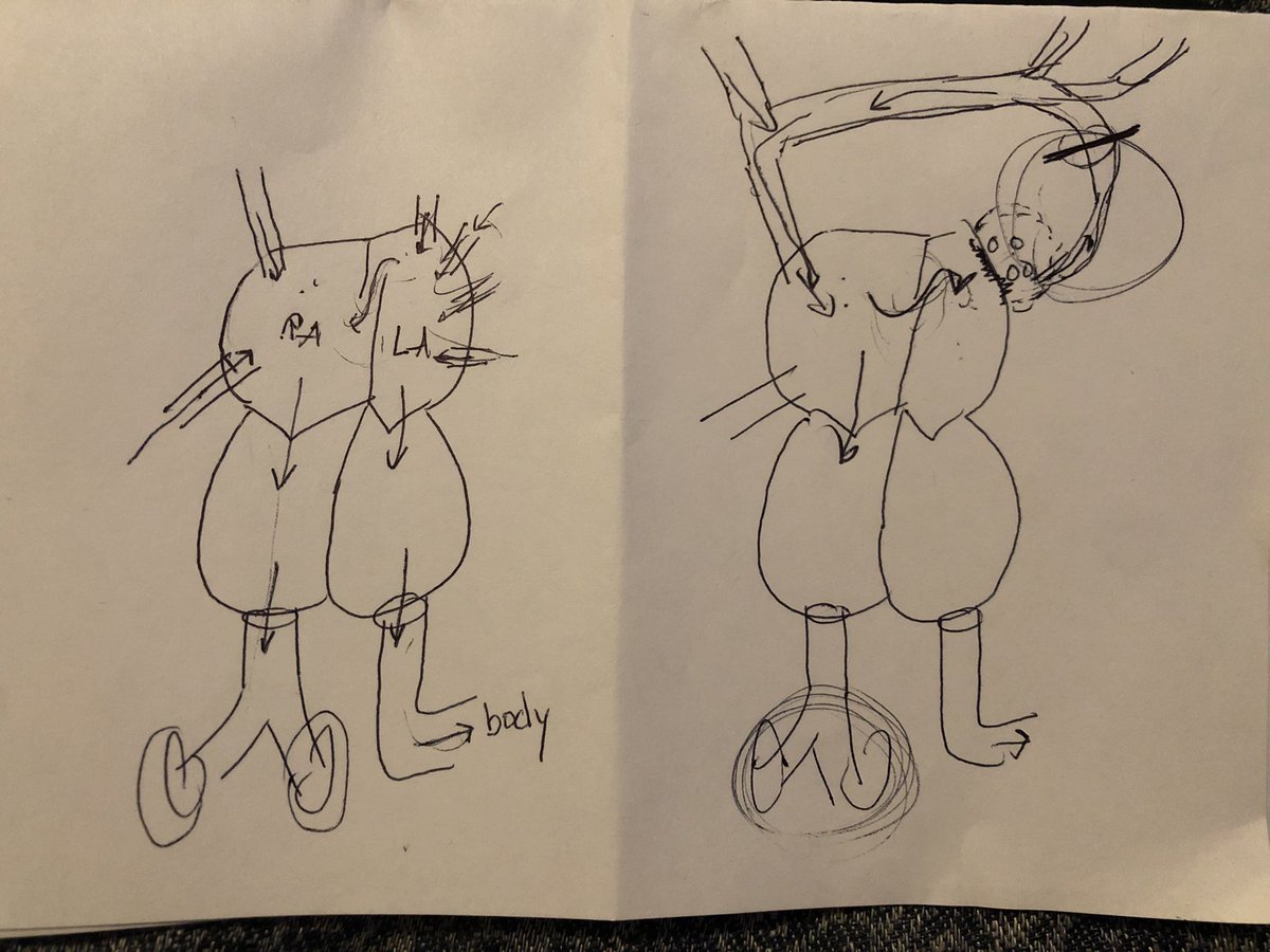 Rupali Gandhi MD JD tweet media