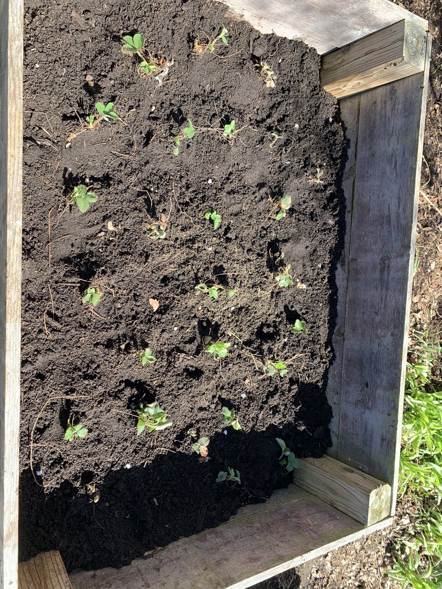 PrassPaxson's tweet photo. Thank you Prass staff &amp; The Modern School of Design for your time and support in revitalizing Mary’s Place Garden and five senses garden boxes! #Teamwork #OutdoorLearningSpaces https://t.co/MBAqXSFRwI