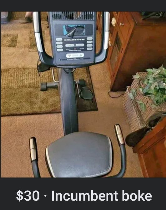 Don't blame me, I voted for the other boke