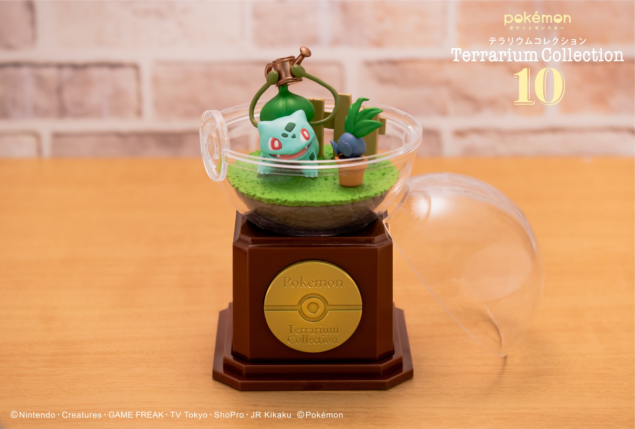 ポケモン　テラリウムコレクション10　コンプリートセット ポケットモンスター テラリウムコレクション10