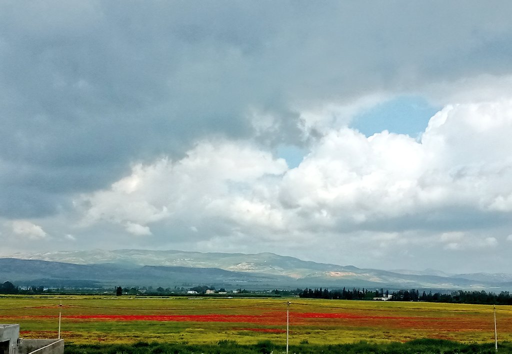 afef khelifi (@khelifiafef) on Twitter photo 