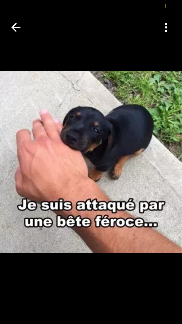 Multicort en 2015 tweet media