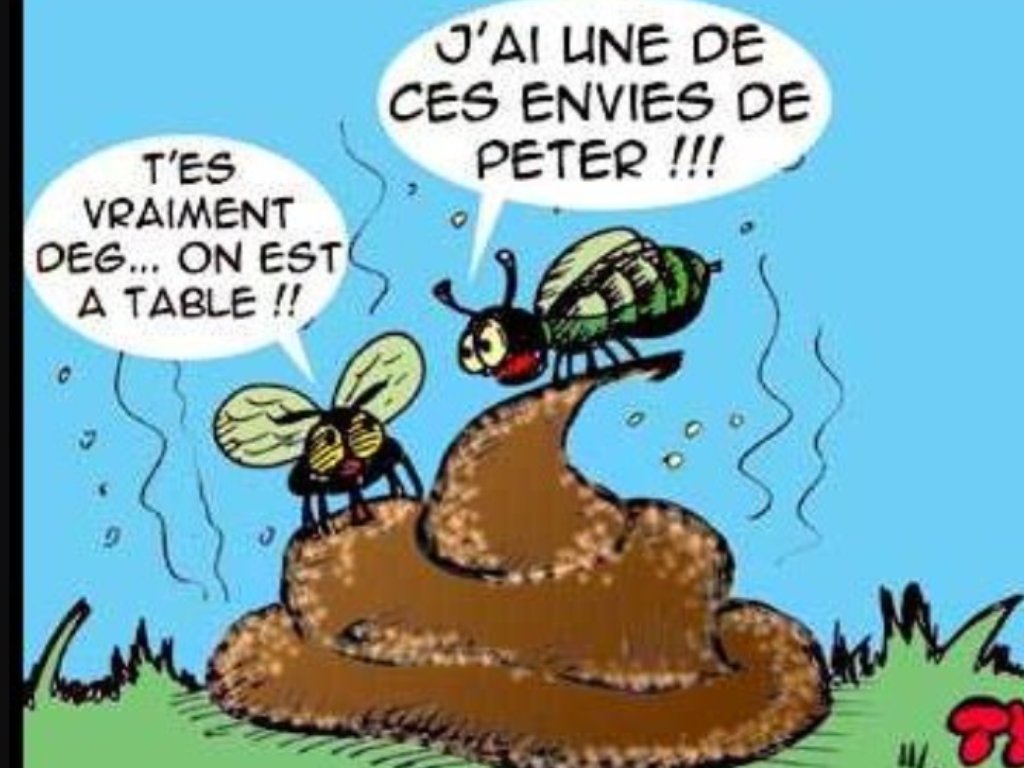 Multicort en 2015 tweet media